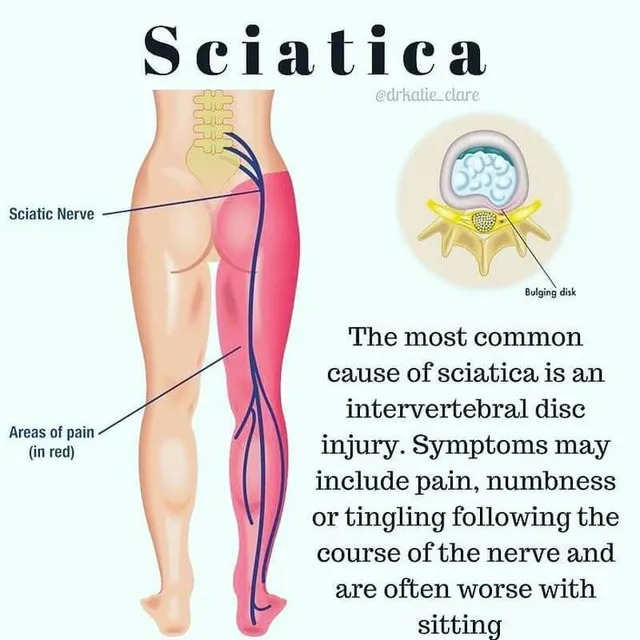 Wellkind physio care - 20