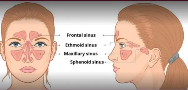 Massage for womens.Home service by professional therapist.service full chennai. - 4