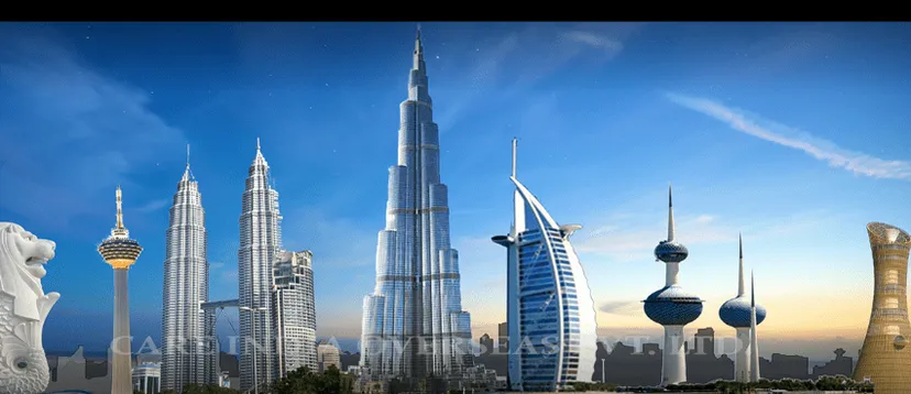 Care India Overseas Private Limited