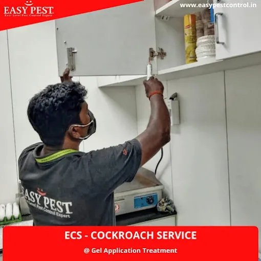 Easy Pest Control - 2