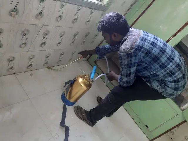 vms pest solutions - 2