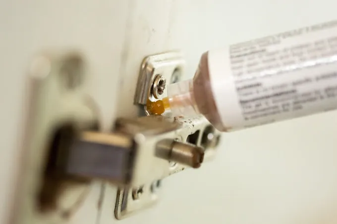 Unique Pest Control - Pest Control Services in Chennai - 2