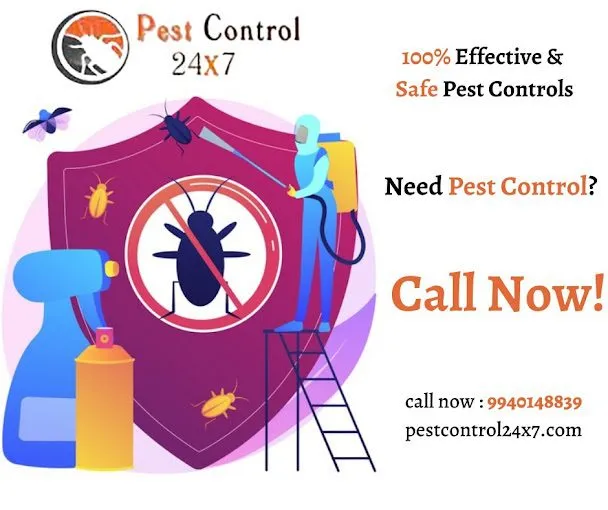 Pest Control 24x7