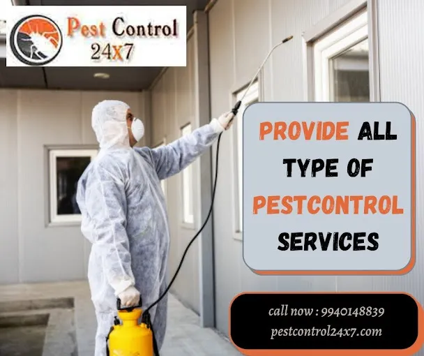 Pest Control 24x7 - 2