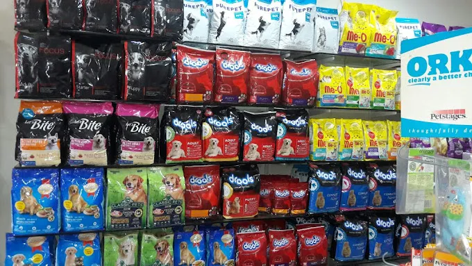 Classic Pet Store - 2