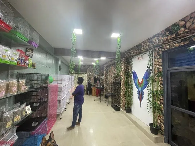 Chennai Pets Corner - Tamed birds