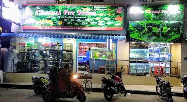 The Chennai Pet Store - 2