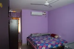 Olive Castles - PG for women - SRP Tools