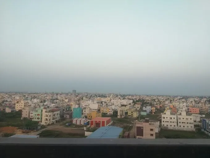 Alliance Orchid Springss