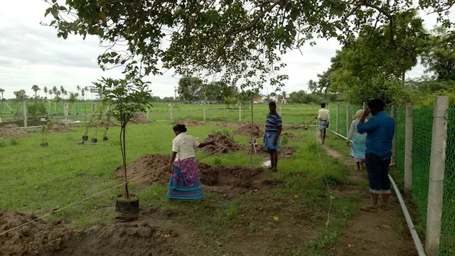 Paalaar Urban Farms - 2