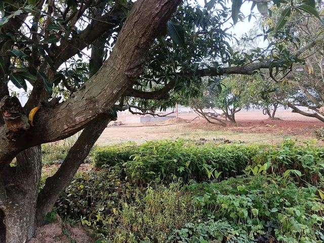 Nam Kudil Property Developers - 2