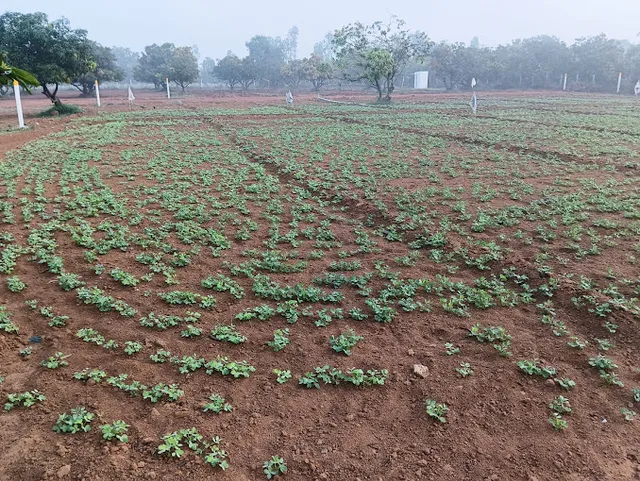 Nam Kudil Property Developers - 4