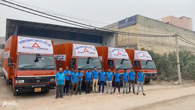 Professional Packers And Movers Pvt Ltd - 3