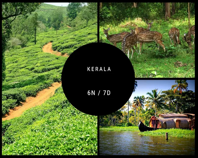 Welcome Tours and Travels Chennai Pvt Ltd - 3