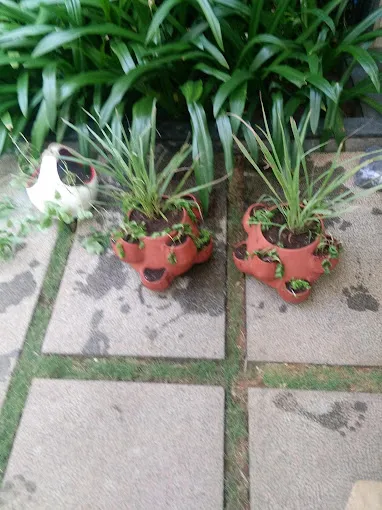 garden store - Garden Lifestyle Chennai - 2