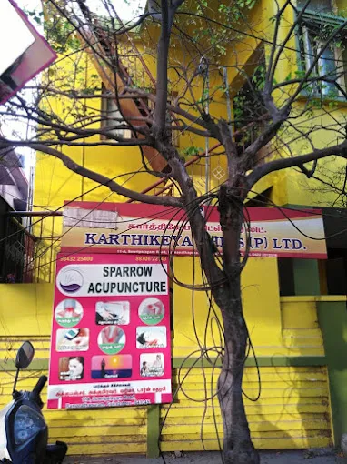 Sparrow Acupuncture - 2