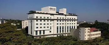 Fortune Select JP Cosmos