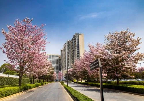 The Leela Bhartiya City