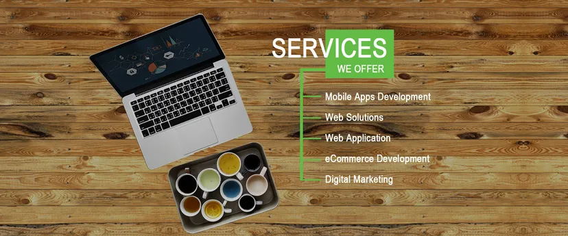 Pro Creations Web Development Digital Marketing - 2