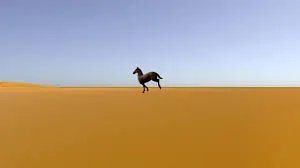 ARCITE SCHOOL OF MEDIA - 2