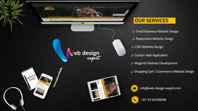 Expert Web Designing - 4