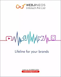 Webjineos Infotech Pvt Ltd - Digital Marketing Agency In Indore - 4