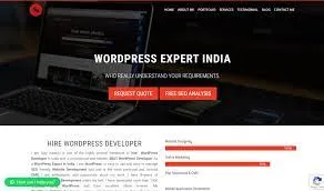 Ajay Maanju Best WordPress Developer