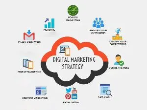Succeedo Digital Marketing in Vizag - 2