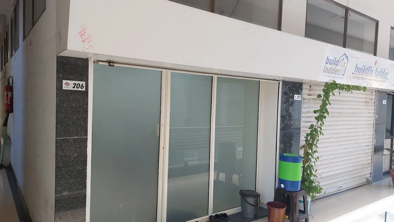 Web6 - Website Development And Digital Marketing Company