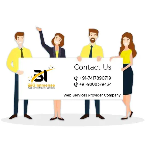 Bigimmense Web Services Provider Company - 2