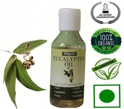 AMEER DRY FRUITS SPICES AND NUTS - 2