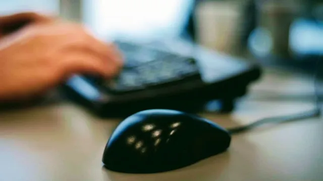 lotus design labs - 4