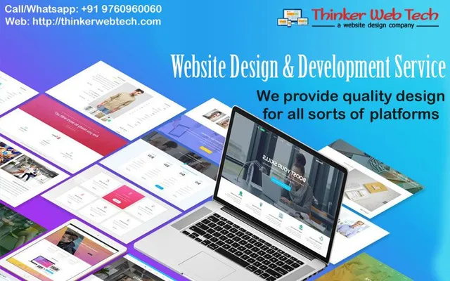 Thinker web tech Web Designing SEO Company - 3