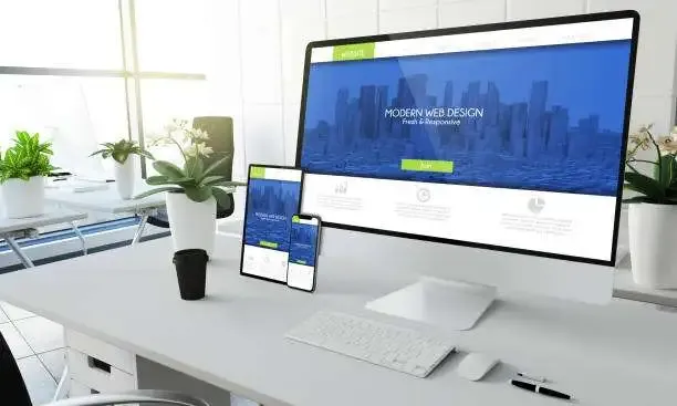 Webzin Infotech Pvt Ltd - 2