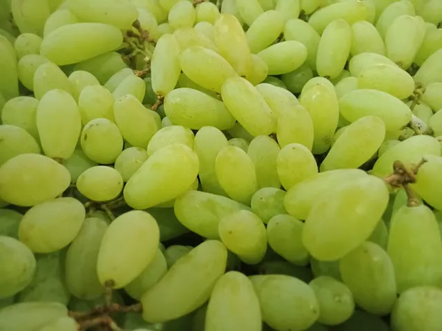 MS Gobi Vegetables and fruits - 2