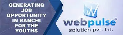 Webpulse Solution Pvt Ltd - 2