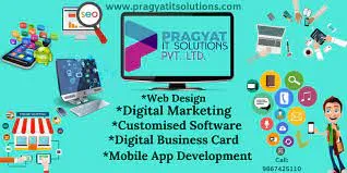 Pragyat It Solutions Pvt Ltd - 3