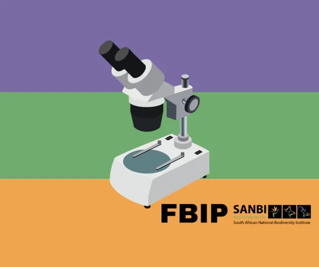 FBIP Best IT Solution - 3