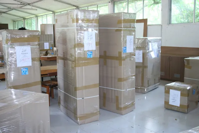 Professional Packers and Transports - 3