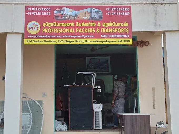 Professional Packers and Transports