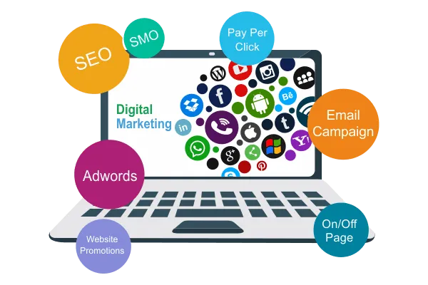E Web Digital Marketing Training and Website Designing Company - 3