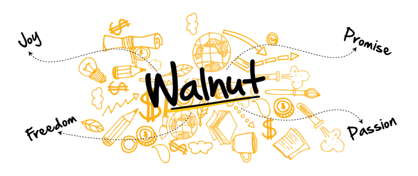 Walnut Solutions Pvt Ltd