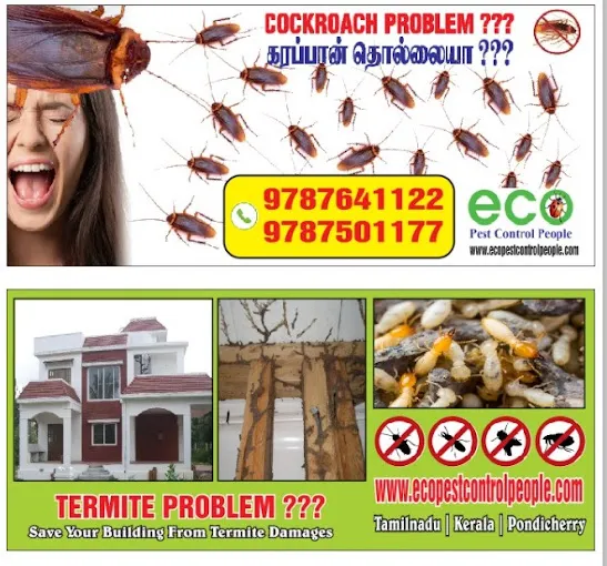 ECO PEST CONTROL PEOPLE - 4
