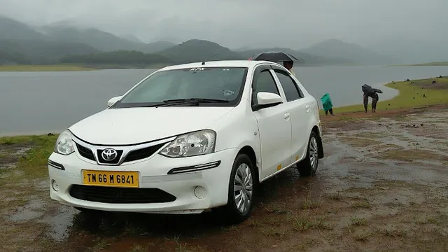 Professional Pest Control Services - 5