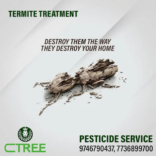 Ctree Pest Control Service Coimbatore - 6