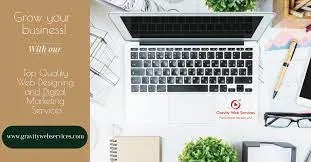 Rinisha Web Services - 3