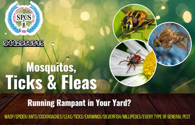 Sun Pest Control Services Pvt Ltd - 3