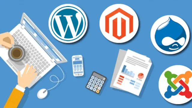 Web Design Amravati - 2