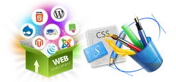 Web Design Amravati