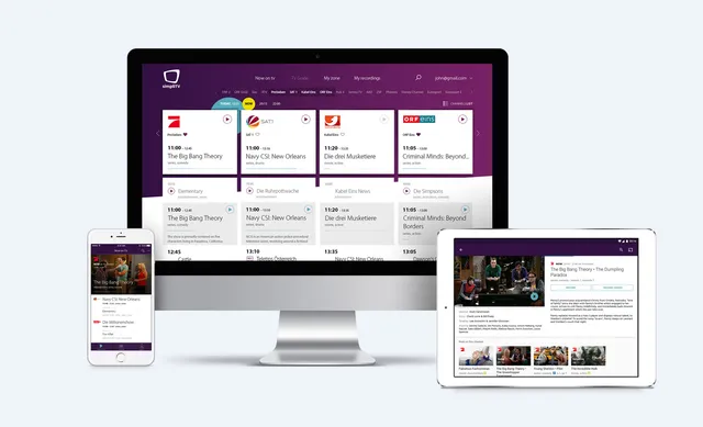 Insys Software Company - 2